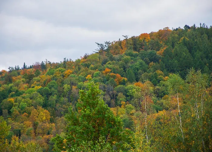 Apartment Szyndzielnia No 23 I Taras Gory I Prywatny Parking I 4 Os *